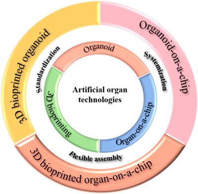 Editorial: Organ mimicking technologies and their applications in drug discovery